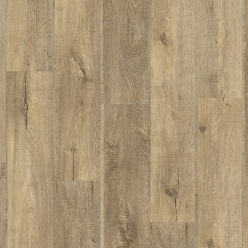 Roots 55 EIR 88299 (Nashville Oak)