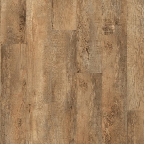 Roots 55 EIR 54852 (Country Oak)