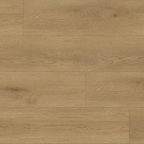 Reflections 30 20301508 Taku Oak Dark Nature