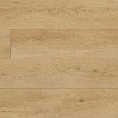 Reflections 30 20301884 Richland Oak Nature