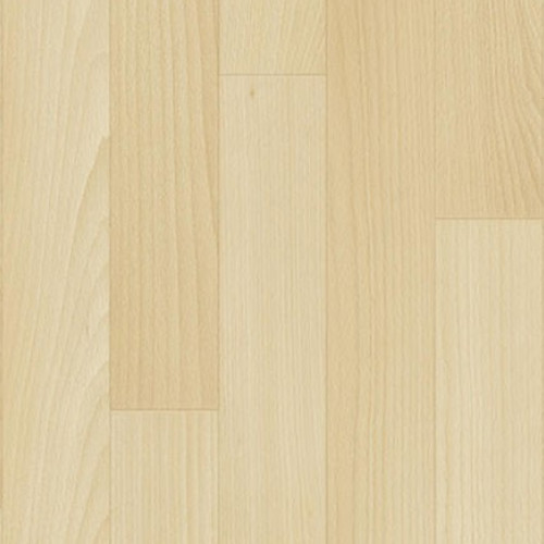 Ruby 70 029 (Beech Light)