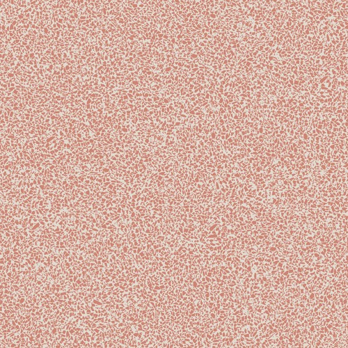 Acczent  Excellence 80 206012035  (Fragmento)