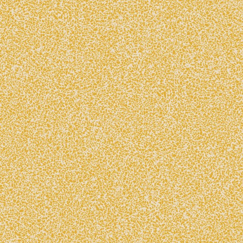Acczent  Excellence 80 206012038  (Fragmento)
