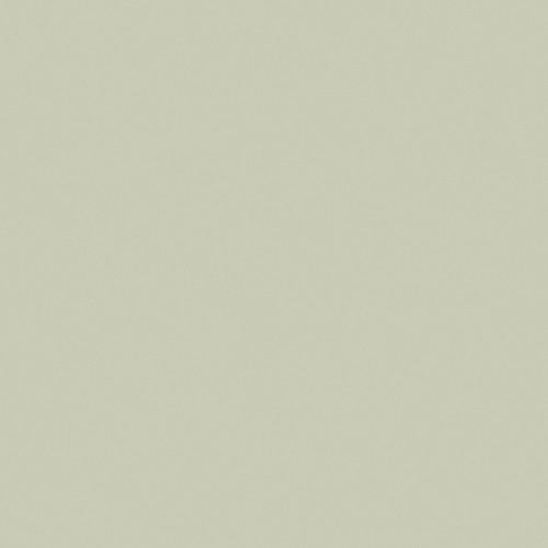 Blush 521