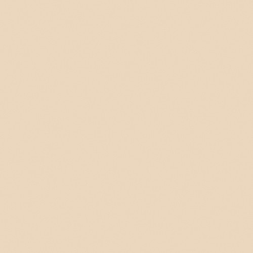 Blush 534