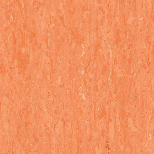 IQ Optima 257