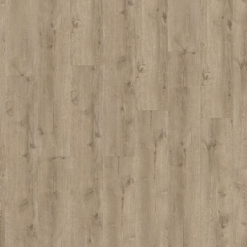 Eterna Acoustic  05829 (Major Oak)
