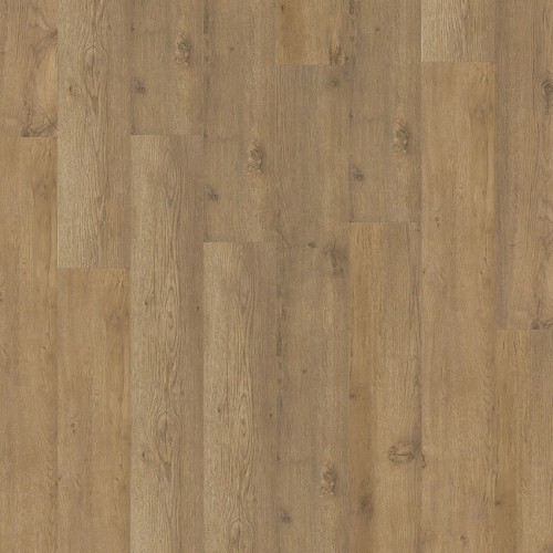 Eterna Acoustic  05863 (Major Oak)