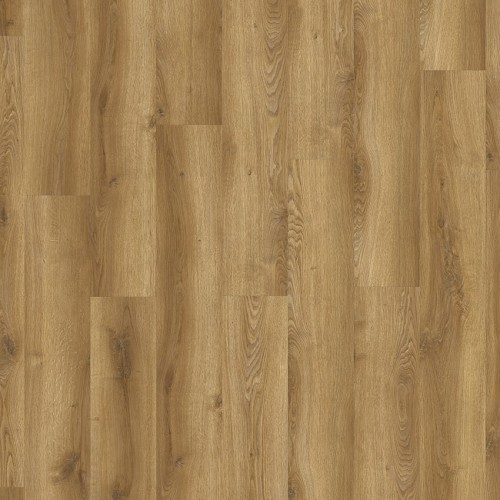 Solida Acoustic 03866 (Traditional Oak)