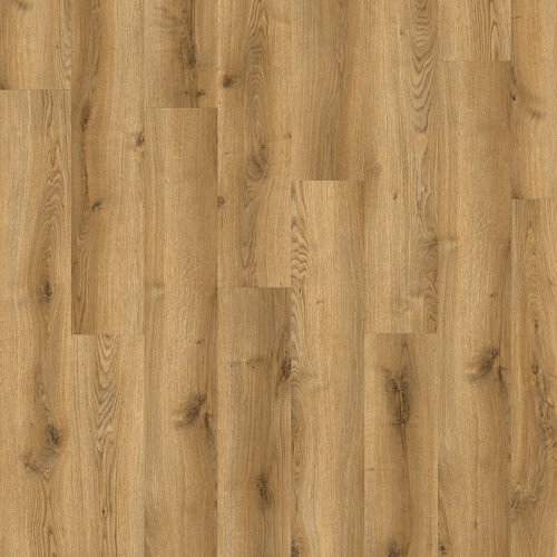 Solida Acoustic 03826 (Traditional Oak)