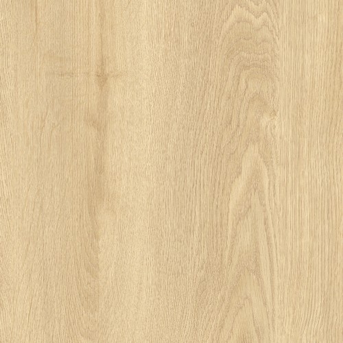 Logitex Ultimate 55 Elias T32