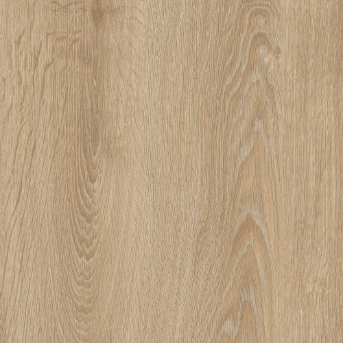 Logitex Ultimate 55 Elias T44