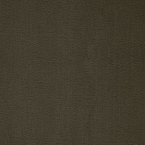 Prominent 047