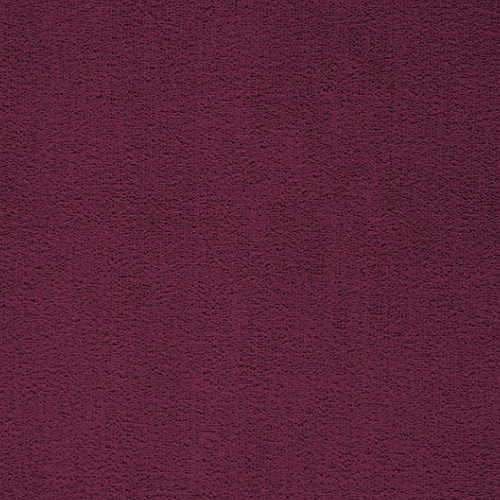 Prominent 016