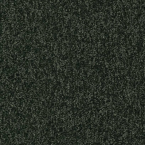 Spark W2W 609