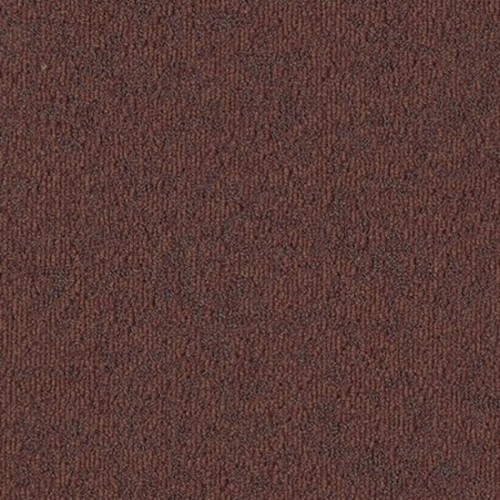 Terra 18