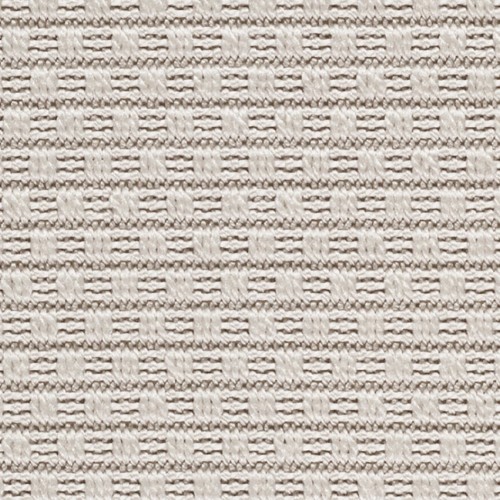 Nature 4508/16