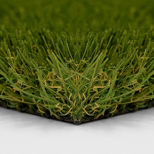 Flores (angle)