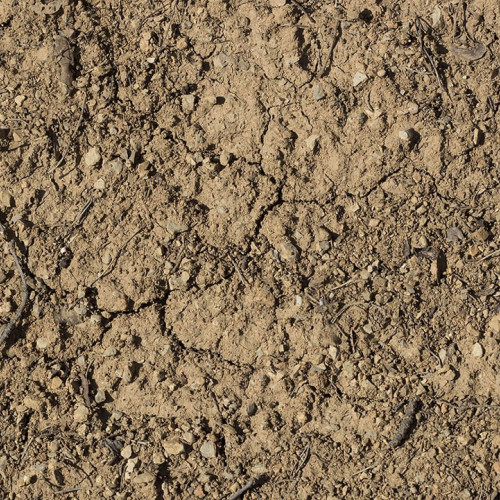 Soil