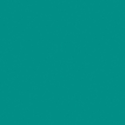 Omnisports Active+ 26541015<br>(Uni Teal)