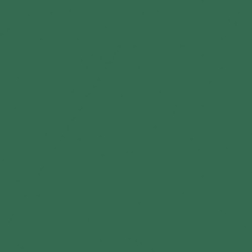 Omnisports Active+ 26541070<br>(Uni Tonic Green)