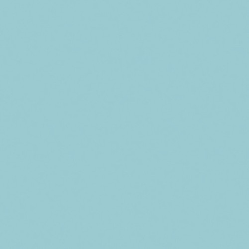 Omnisports Active+<br>26541034 (Lagoon)