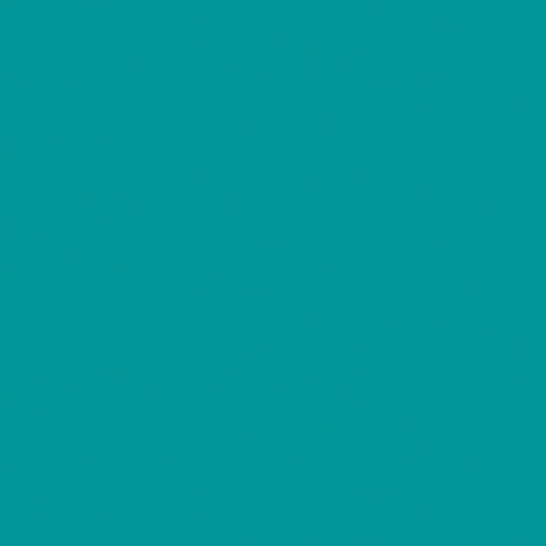 Omnisports Compact 3917015 (Teal)