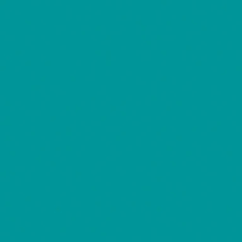 Omnisports Reference 26528015 (Teal)