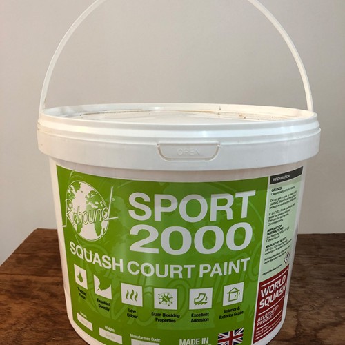 Rebound Sport2000 Paint