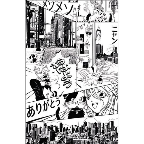 Lesis Mondes panel MNM10584