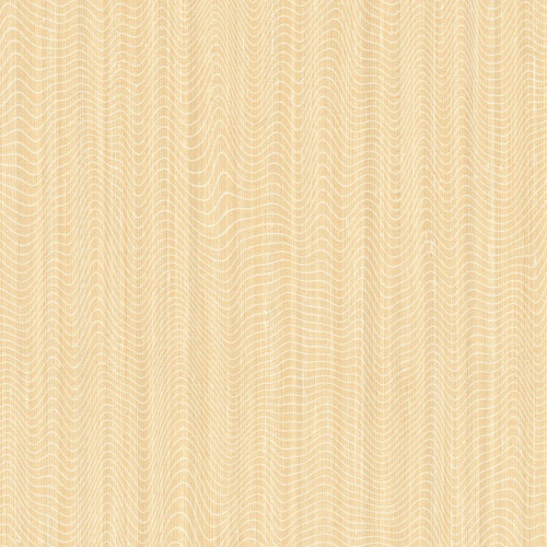 Amay 02 (Cornsilk)