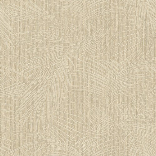 Jwall Shunan 50614 (Kodachi)
