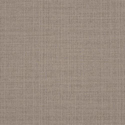 H.P. Essence HPE304 (Netting)
