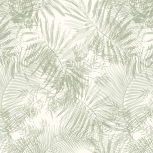 Protect Wall 264991095 (Palm Kaki)