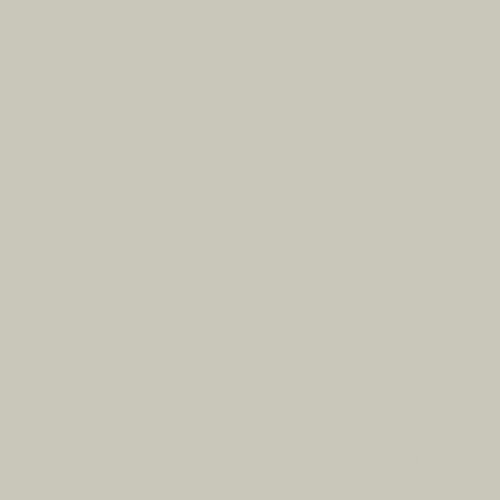 Protect Wall 264992082 (Uni Sweet Grey)