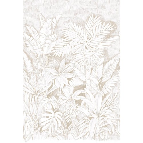 JV 202 41340 (Daintree Bianco)