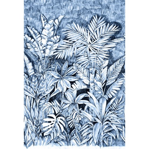 JV 202 41370 (Daintree Blue)