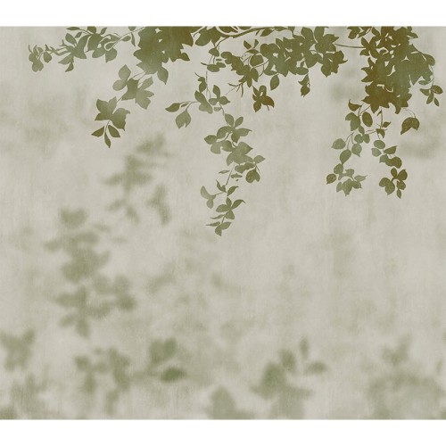 JV 202 41260 (Domme Green)