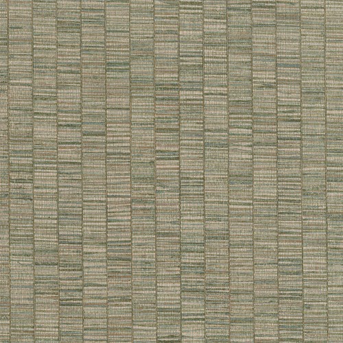 JV 106 Amazzonia 6573 (Ribbon Grass)