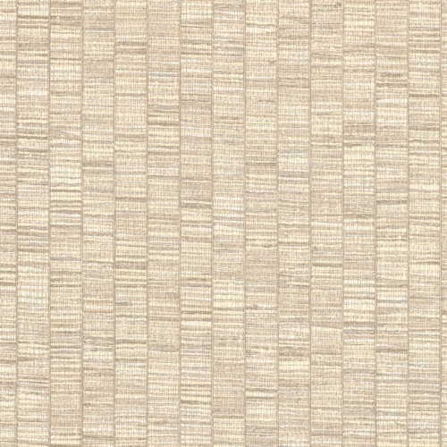 JV 106 Amazzonia 1011 (Ribbon Grass)