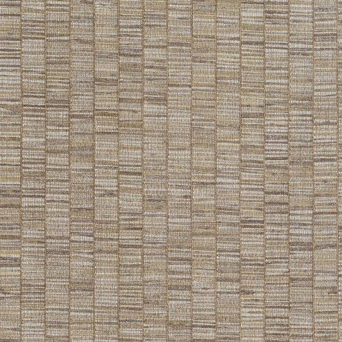 JV 106 Amazzonia 6575 (Ribbon Grass)