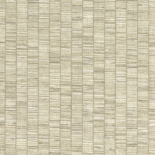 JV 106 Amazzonia 6571 (Ribbon Grass)