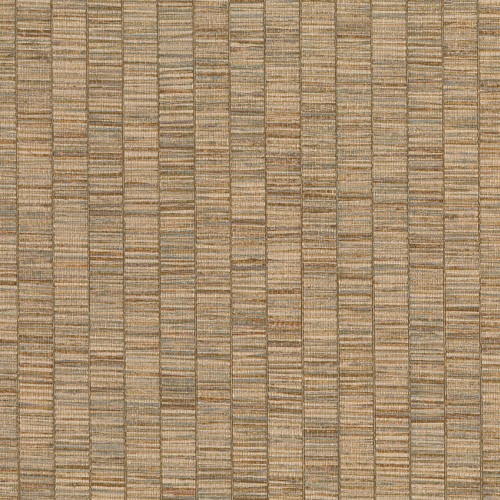 JV 106 Amazzonia 6574 (Ribbon Grass)