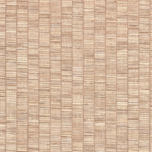 JV 106 Amazzonia 1012 (Ribbon Grass)