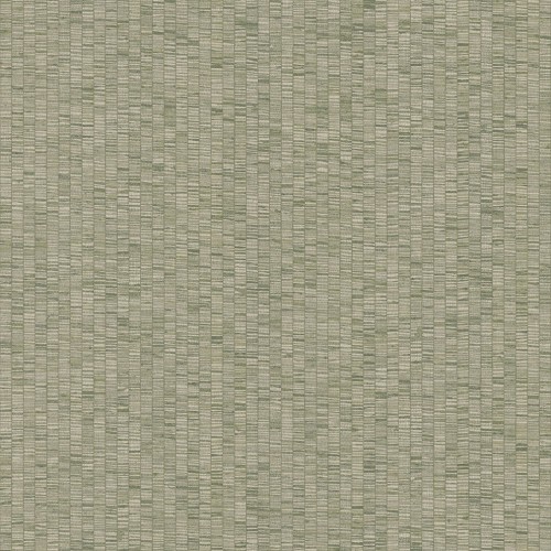 JV 181 6573 (Unito Ribbon Grass)
