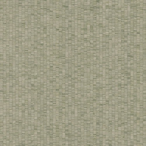 JV 181 6573 (Unito Ribbon Grass)