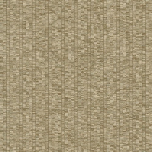 JV 181 6574 (Unito Ribbon Grass)