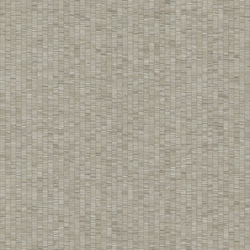 JV 181 6575 (Unito Ribbon Grass)