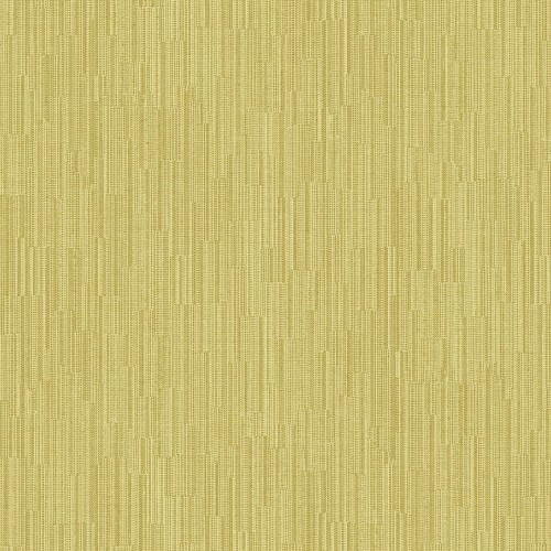 JV 503 5879 (Ambrosia)
