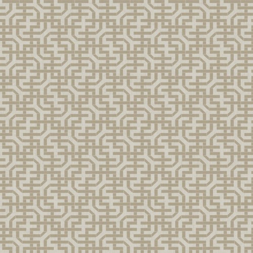 JV 503 5804 (Amaranthus)